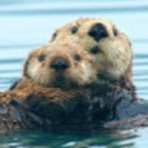 Meet your Posher, Unnknovvn